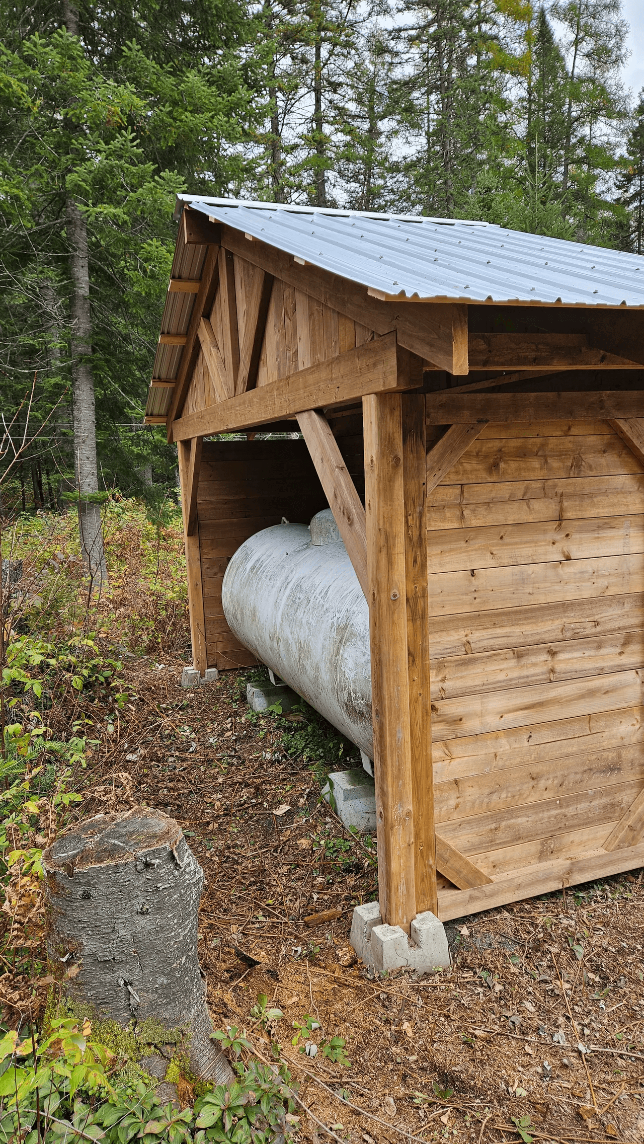 Abri en bois avec toit en tôle protégeant une citerne extérieure dans un environnement forestier