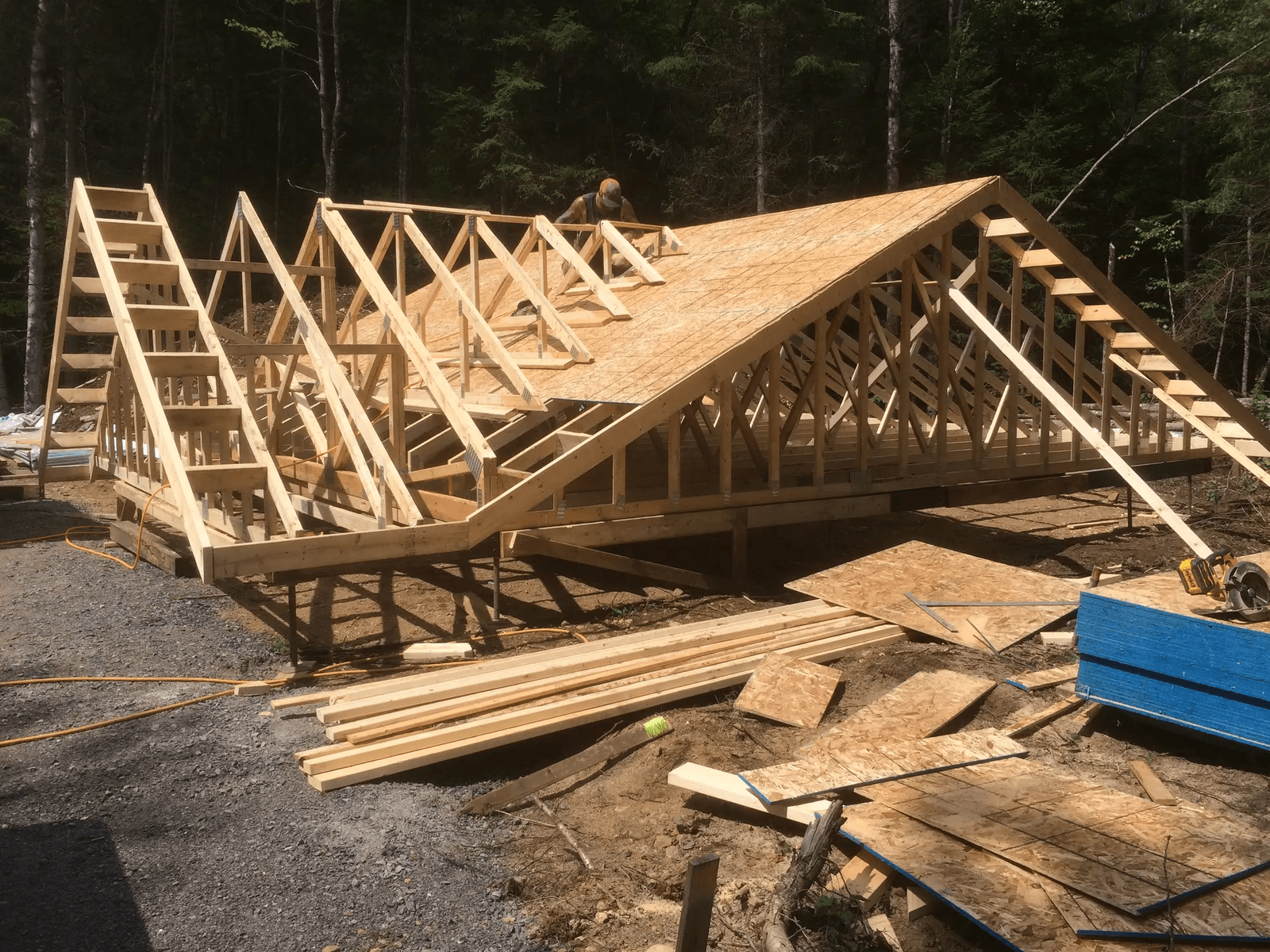 Construction d'une charpente de maison en bois avec pose de panneaux de toiture dans une zone forestière