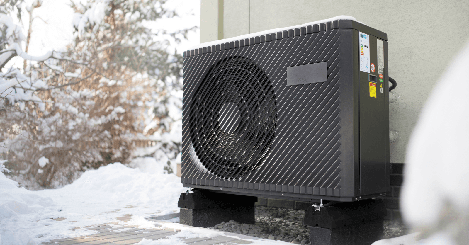 <i>Source : Canva</i>