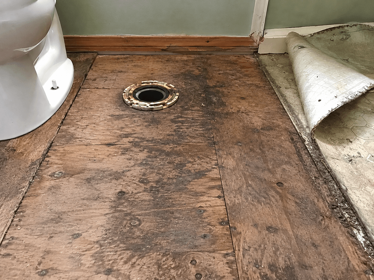 Rénovation de salle de bain avec ancien revêtement de sol retiré, sous-plancher en contreplaqué exposé et bride de toilette visible
