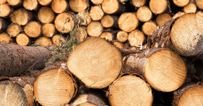 Stère de bois de chauffage : bûches de bois dur empilées, prêtes à être utilisées pour chauffer un foyer ou un poêle à bois.