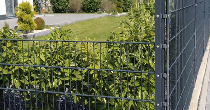 clôtures modèles et prix_Les clôtures : modèles et prix